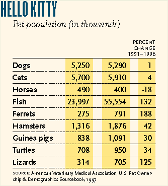 Pet Population