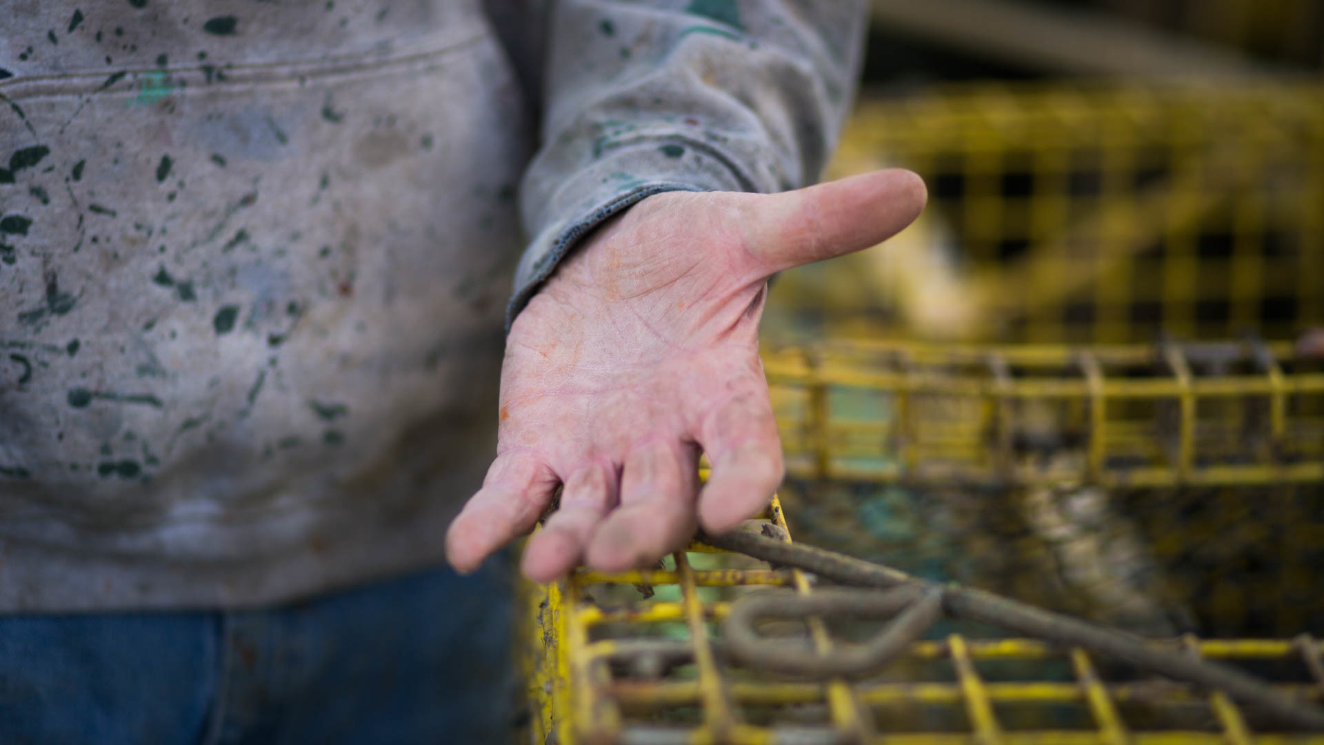A closeup of a Newport, RI fisherman's empty, weathered hand.