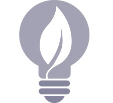 lightbulb icon